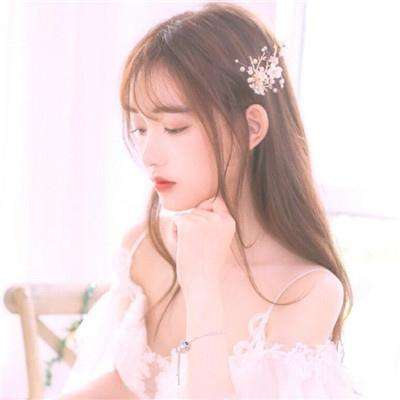 宠物王国5彩虹正版